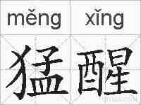 猛醒的拼音