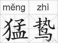 猛鸷的拼音