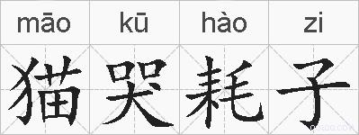 猫哭耗子的拼音
