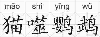 猫噬鹦鹉的拼音