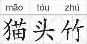 猫头竹的拼音