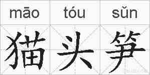 猫头笋的拼音
