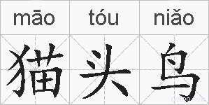 猫头鸟的拼音