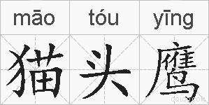 猫头鹰的拼音