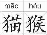 猫猴的拼音