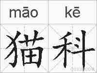 猫科的拼音