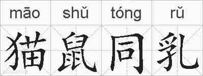猫鼠同乳的拼音