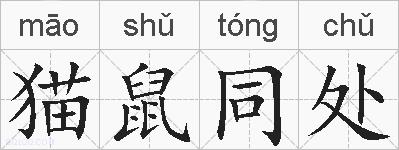 猫鼠同处的拼音