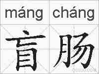 盲肠的拼音