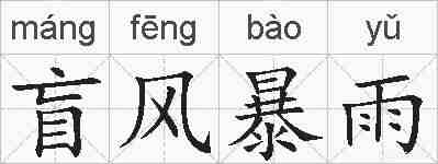盲风暴雨的拼音