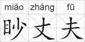 眇丈夫的拼音