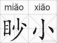 眇小的拼音