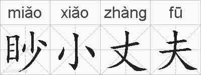 眇小丈夫的拼音