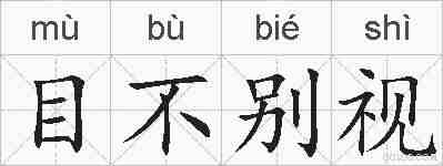 目不别视的拼音