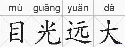 目光远大的拼音