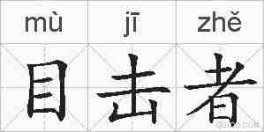 目击者的拼音