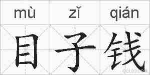 目子钱的拼音