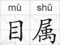 目属的拼音