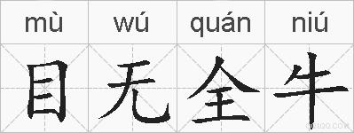 目无全牛的拼音