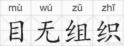 目无组织的拼音
