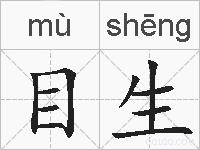 目生的拼音