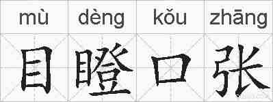 目瞪口张的拼音