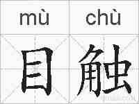 目触的拼音
