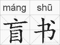 盲书的拼音