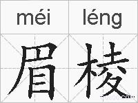 眉棱的拼音