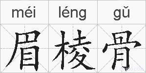 眉棱骨的拼音