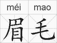 眉毛的拼音