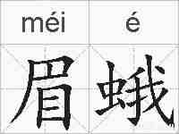 眉蛾的拼音