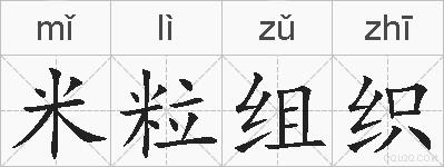 米粒组织的拼音