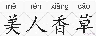 美人香草的拼音