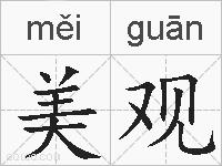 美观的拼音