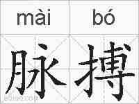 脉搏的拼音