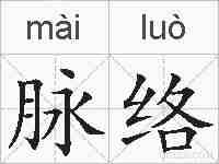 脉络的拼音