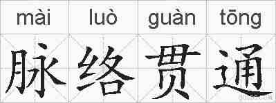 脉络贯通的拼音