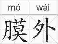 膜外的拼音