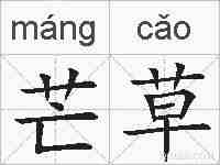 芒草的拼音