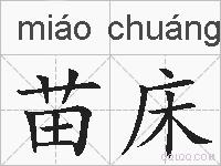 苗床的拼音