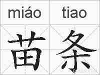 苗条的拼音