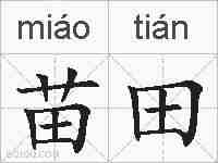 苗田的拼音