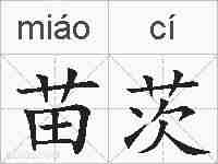 苗茨的拼音
