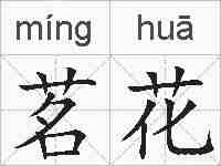 茗花的拼音