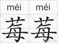 莓莓的拼音