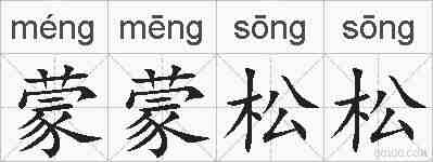 蒙蒙松松的拼音