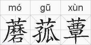 蘑菰蕈的拼音