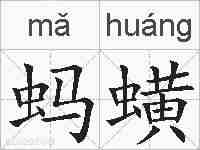 蚂蟥的拼音