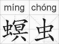 螟虫的拼音